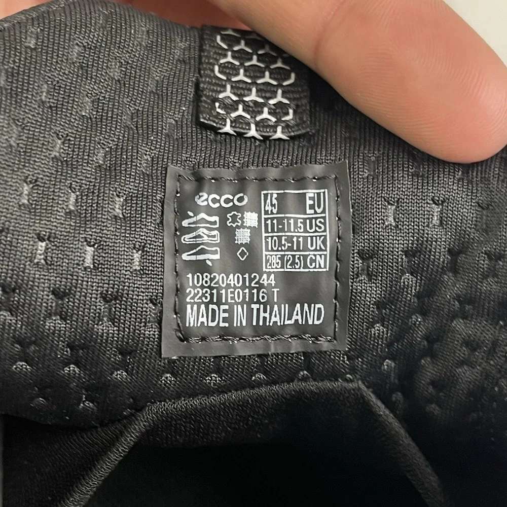 Ecco photos h4 new
